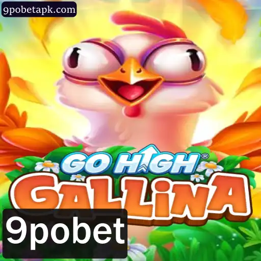 Descubra o Empolgante Mundo de GoHighGallina